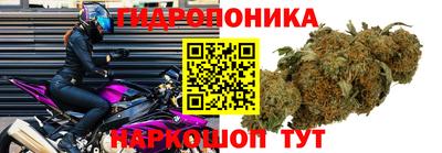 PSILOCYBIN Бузулук
