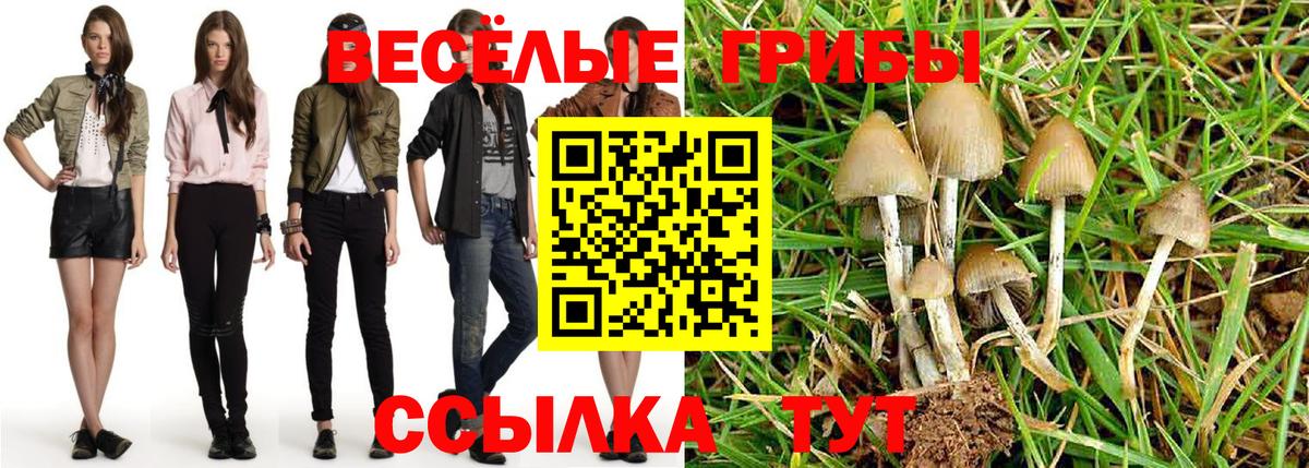 Псилоцибиновые грибы прущие грибы  Вход с VPN  Псилоцибиновые грибы мухоморы  Сунжа 