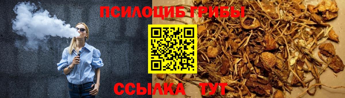 Галлюциногенные грибы MAGIC MUSHROOMS Сунжа
