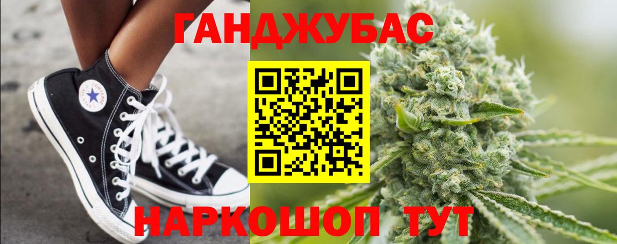 Бошки марихуана сатива Сунжа
